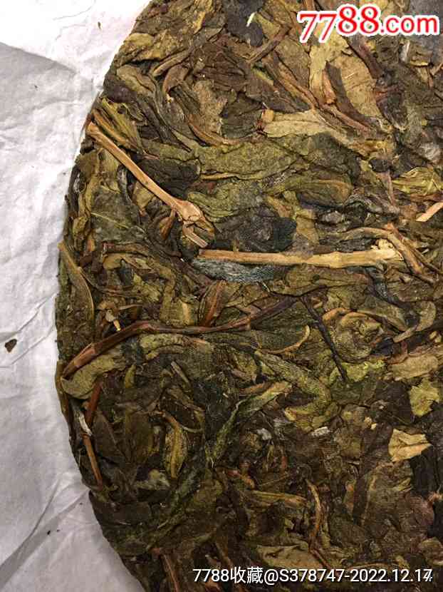 倚邦普洱茶100