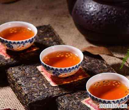 高端品质普洱茶种类及推荐：哪些值得品鉴？