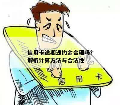 十年信用卡逾期还款两万到六万：合法性与合理性的探讨