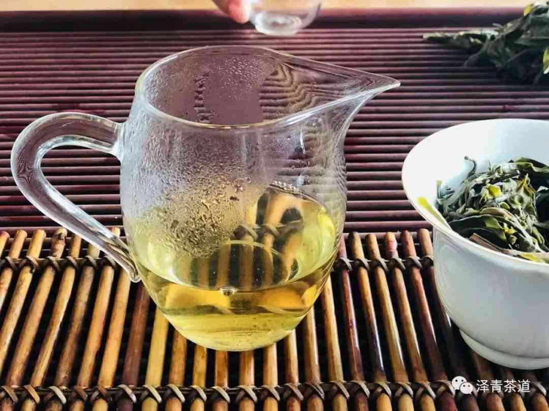 新生普洱茶：嗅觉中的革命，味蕾上的惊喜