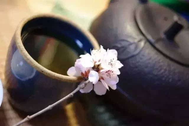 象花一样的普洱茶：品鉴、选购与冲泡技巧，一篇全面指南