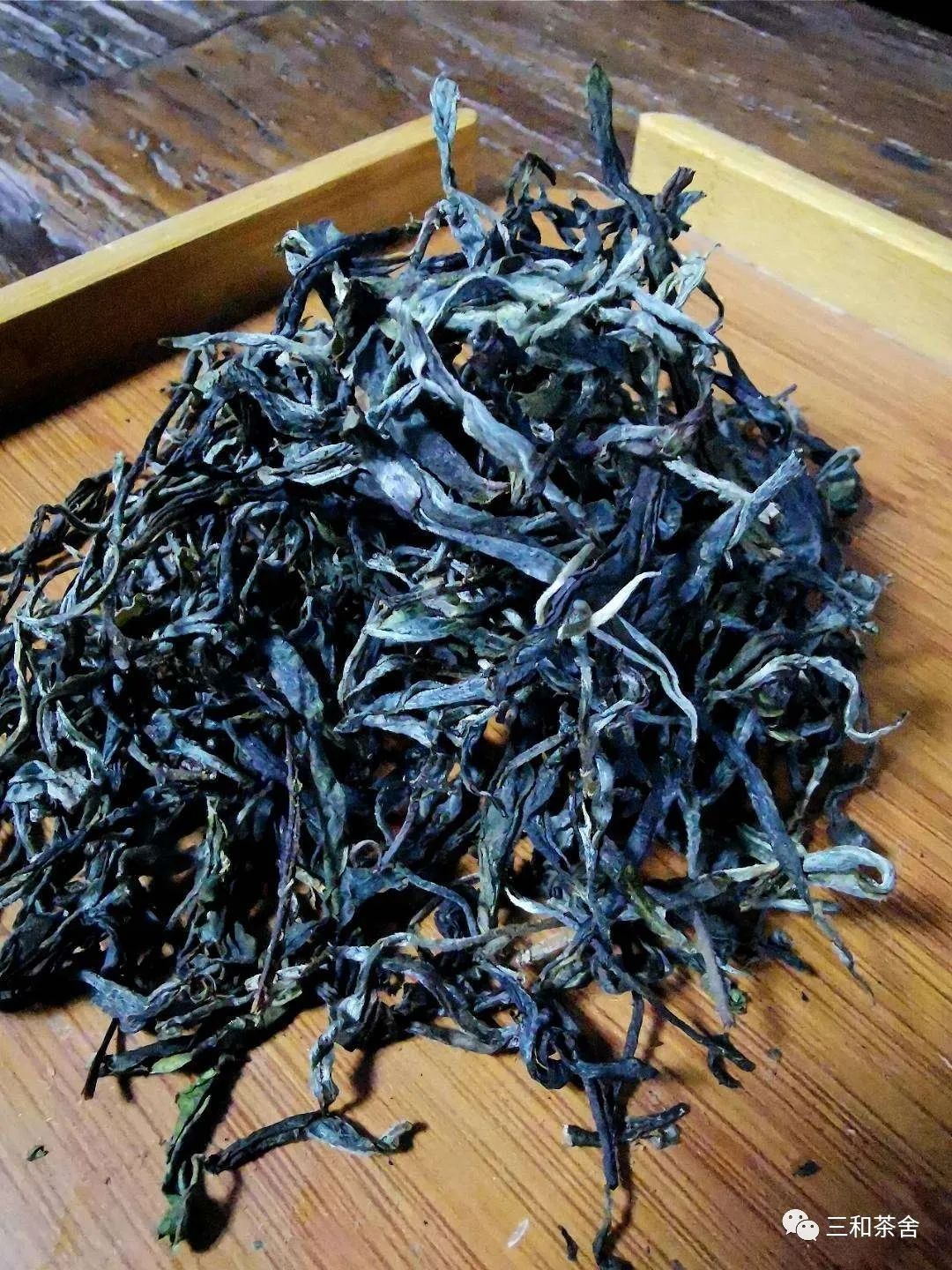 易武茶山中的薄荷塘普洱茶：一独特的饮茶体验