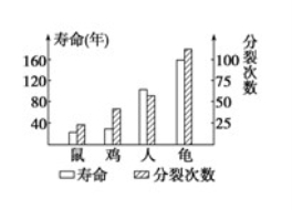 探究普洱茶膨胀感的强度以及可能的影响因素