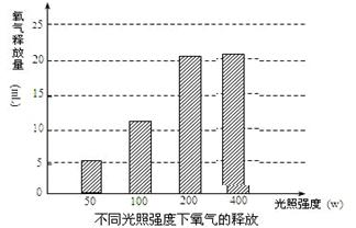 探究普洱茶膨胀感的强度以及可能的影响因素