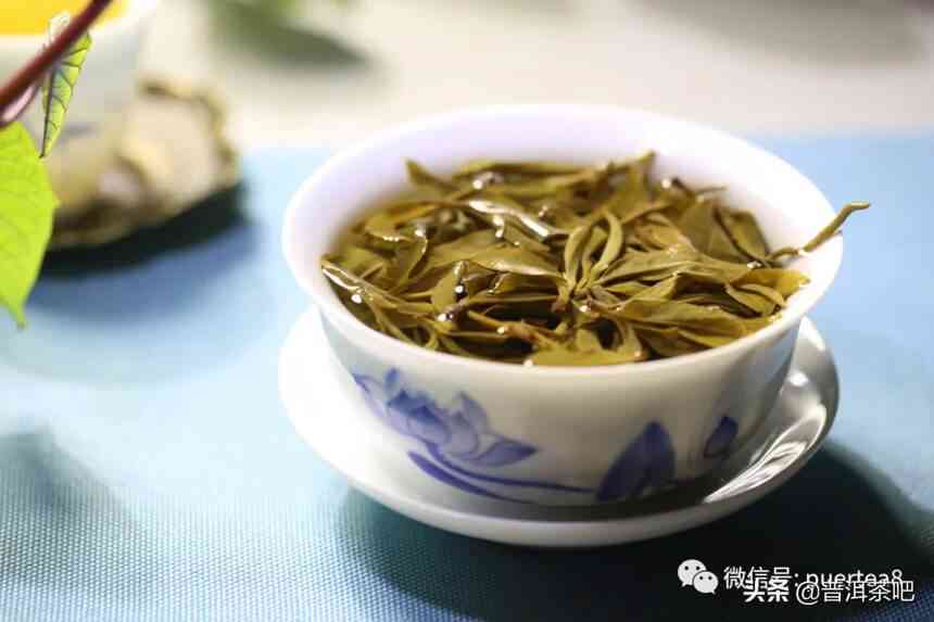 古树普洱茶与猫耳朵：一款独特茶叶的故事和冲泡方法