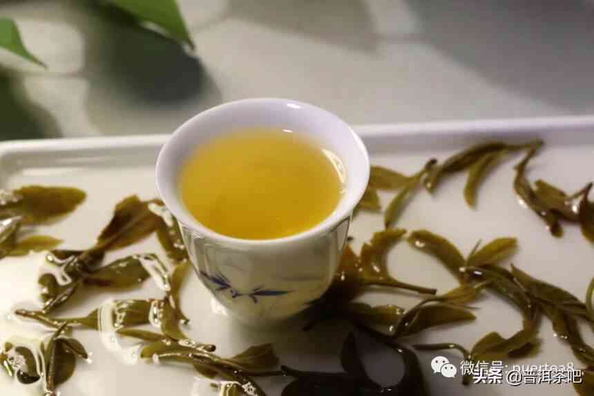 古树普洱茶与猫耳朵：一款独特茶叶的故事和冲泡方法