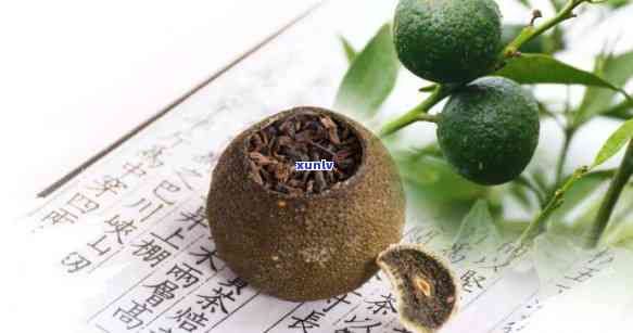 新会特产陈皮普洱茶：野生小青柑的独特魅力与风味