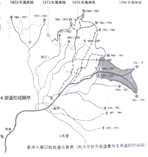 黄河入海口与出海口的地理位置、特点及对环境的影响全面解析