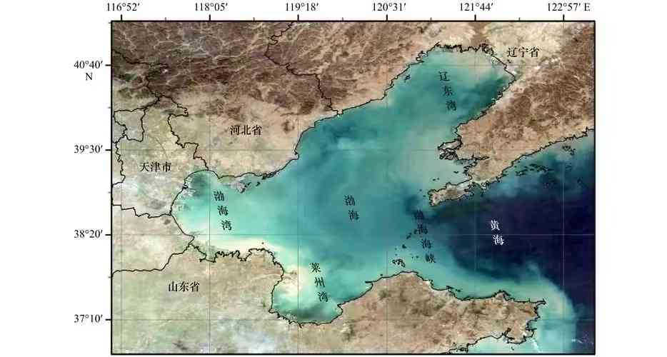 探究黄河最终注入渤海的神秘之地：地理位置与生态影响全解析