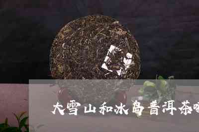 冰岛与大雪山普洱茶口感对比：哪种更值得品鉴？