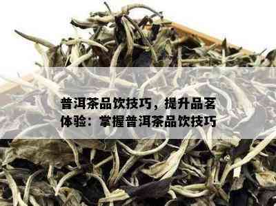 普洱茶新茶草青味：品饮体验、冲泡方法与鉴别技巧详解