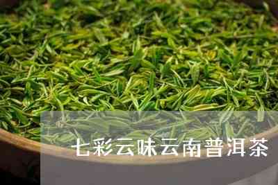 昆明七彩云南普洱茶股份官方网站：探索云南普洱茶的丰富魅力