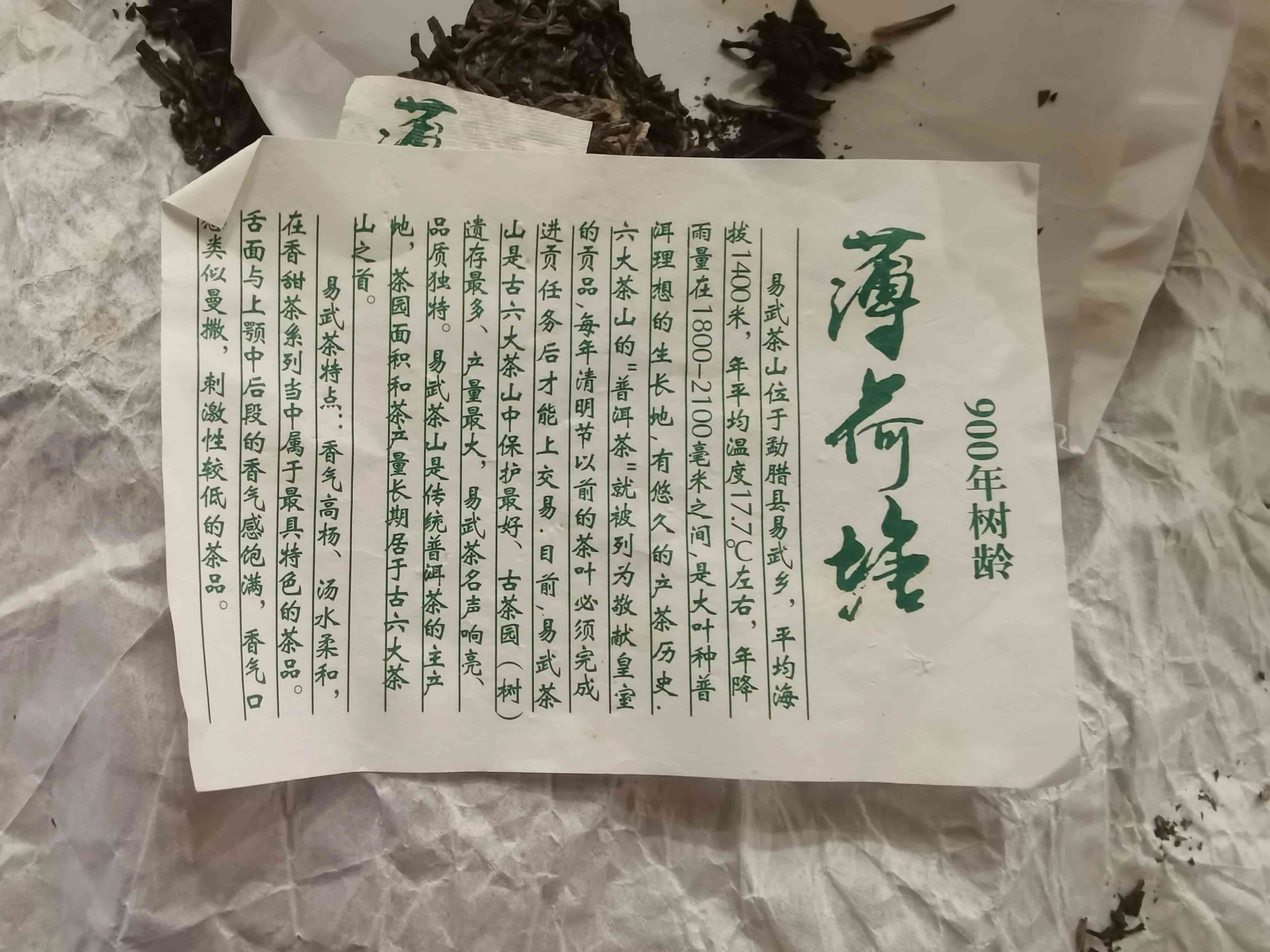 薄荷塘古树茶叶优质货源批发价格