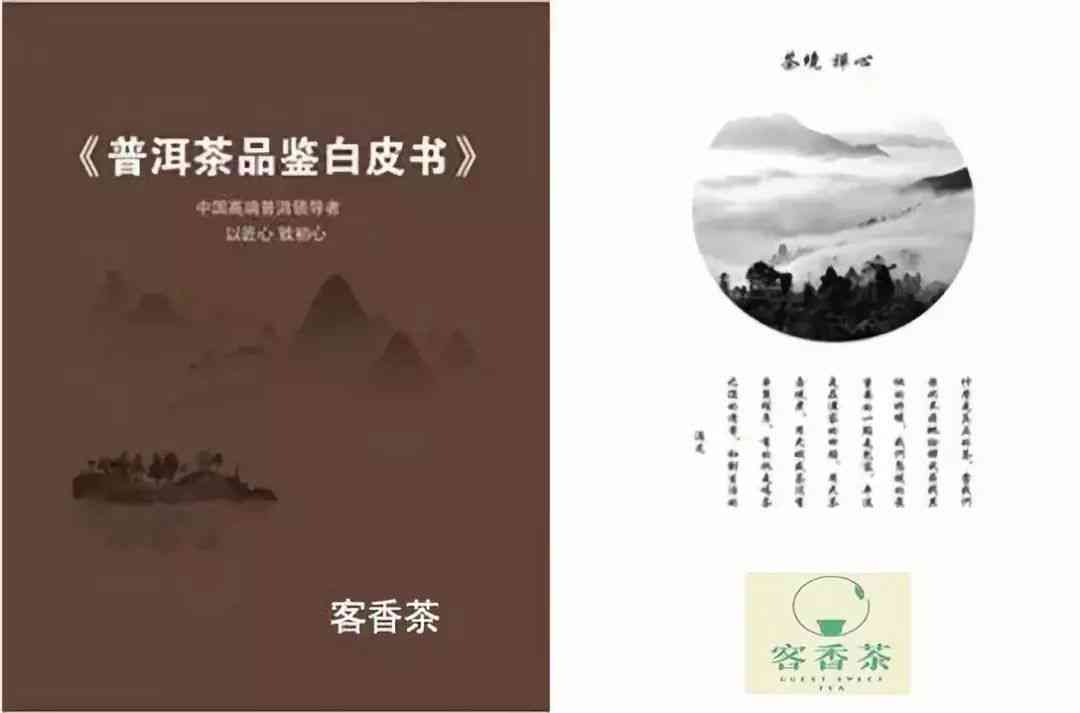 冰岛普洱茶的起源、制作工艺与品鉴：一篇全面指南