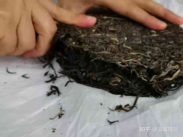 陈普洱茶饼：是否适宜饮用？其品质和功效如何评判？