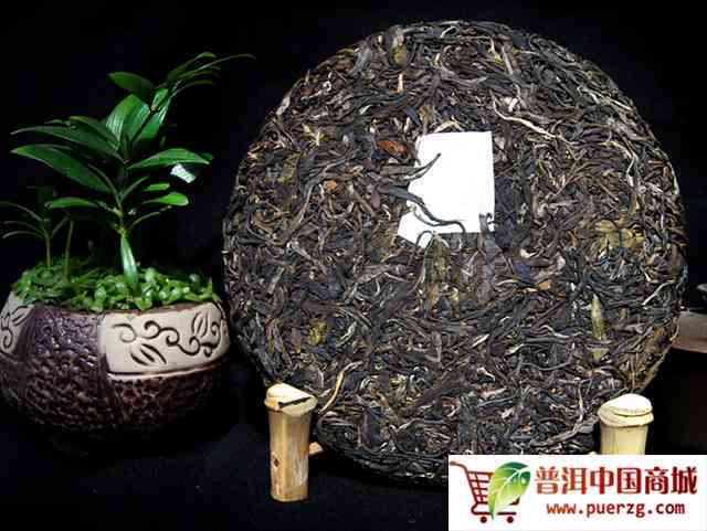 揭秘普洱茶制作过程中的枝干利用：为什么很多茶饼都是杆子状态？