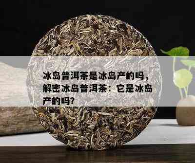 冰岛普洱茶产自冰岛吗？为什么冰岛茶都是普洱茶？