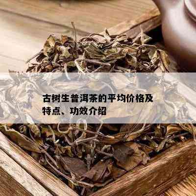 百年古树普洱茶卡朵生茶价格及功效：完整解析与最新市场动态