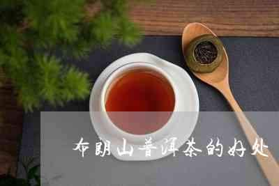 喝布朗山普洱的好处：布朗山普洱茶的功效与正确饮用方法