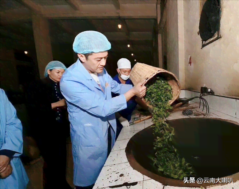 李亚鹏普洱茶：品质、制作工艺与品鉴技巧全面解析