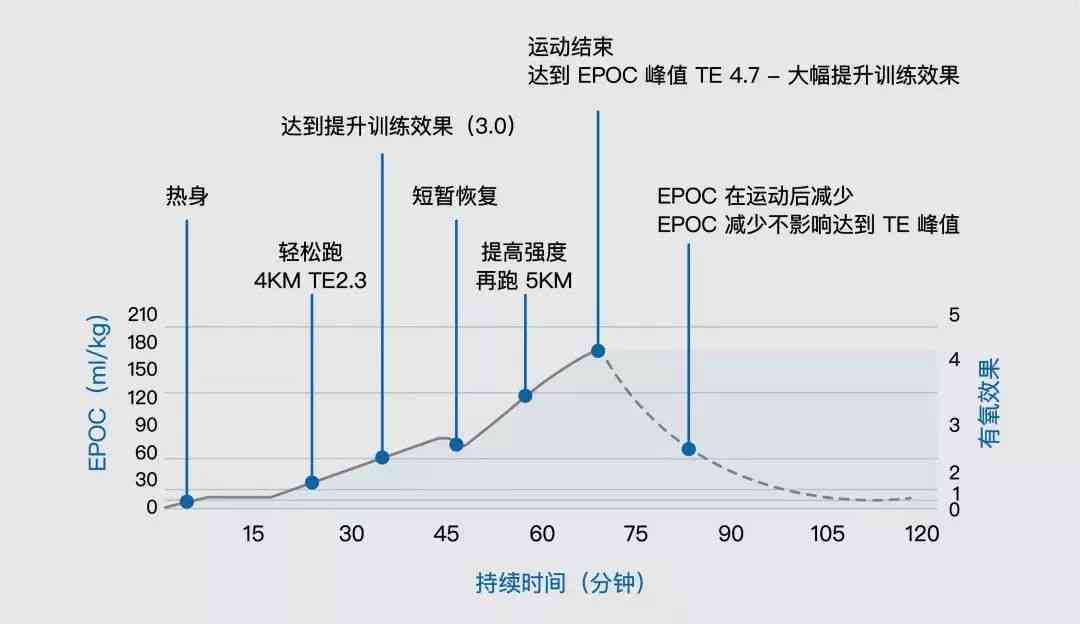 普洱茶的发酵过程：氧气转化的作用与否及其影响