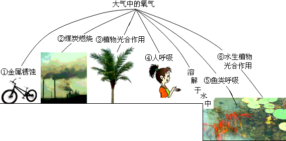 普洱茶的发酵过程：氧气转化的作用与否及其影响