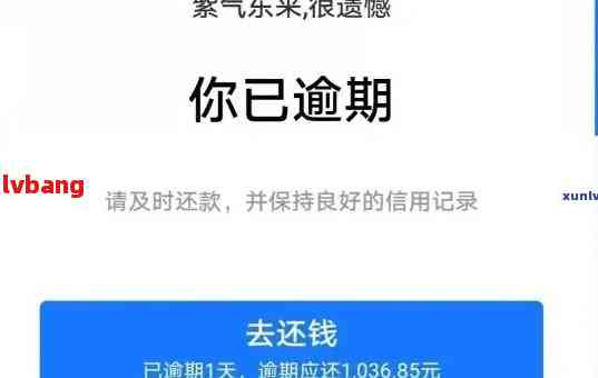 还款后为什么我无法再次使用借呗？