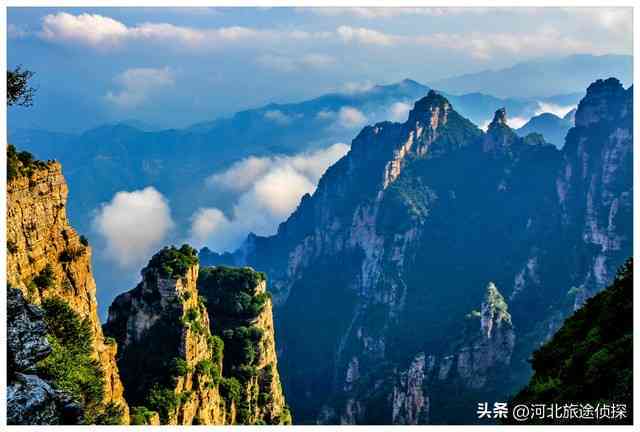 河北料青花为什么能出和田玉证书