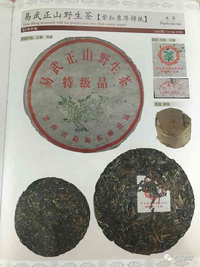 同庆号普洱茶绿印系列：品鉴、选购、保存与泡法全方位解析