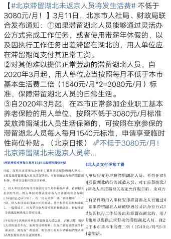 美团生活费逾期5天上报资料到户地，确保及时处理并移交相关部门