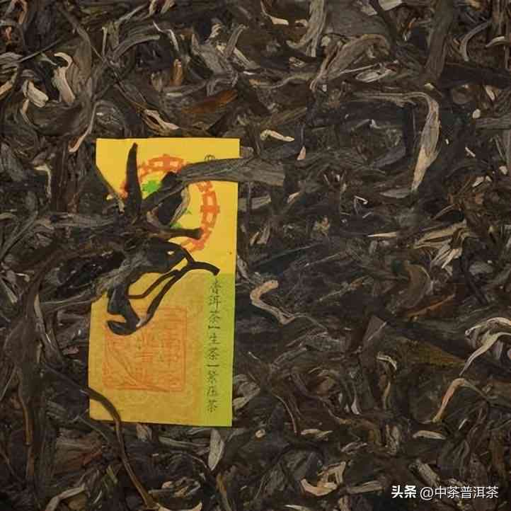 喝圆的普洱茶的方法和技巧，让你更好地品尝和了解普洱茶