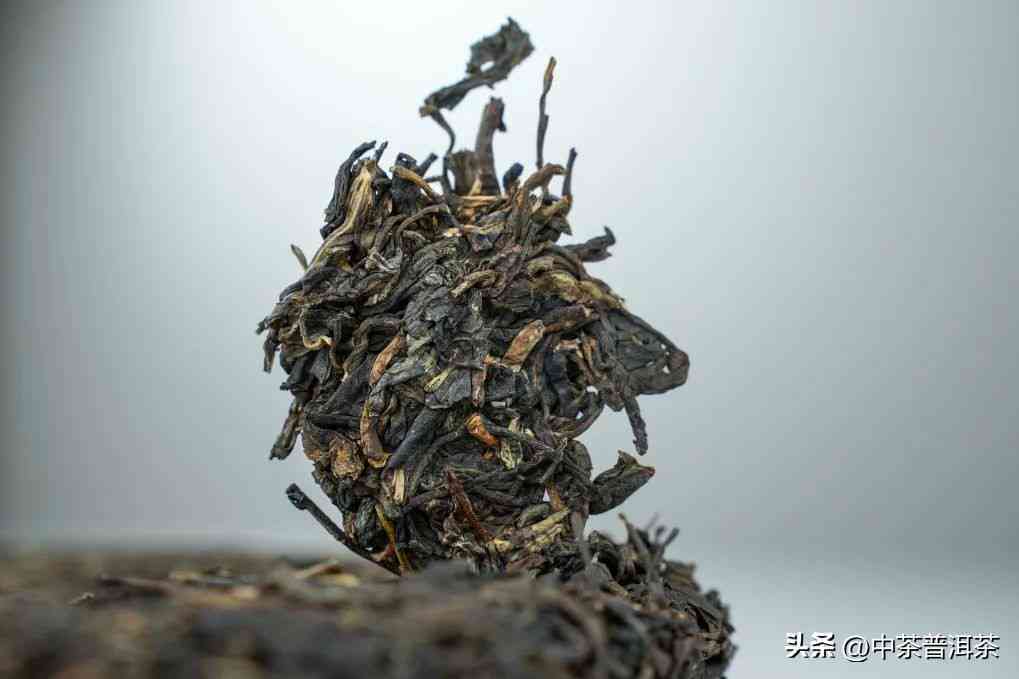 喝圆的普洱茶的方法和技巧，让你更好地品尝和了解普洱茶