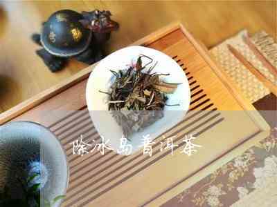 冰岛普洱茶洗茶怎么洗