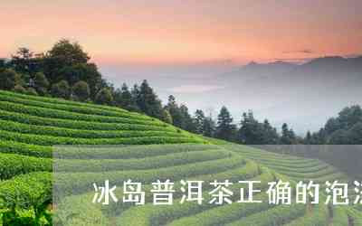 冰岛普洱茶洗茶怎么洗