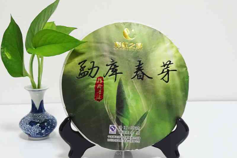 探究春芽普洱茶与古树普洱茶的品质差异：一款茶叶的独特魅力