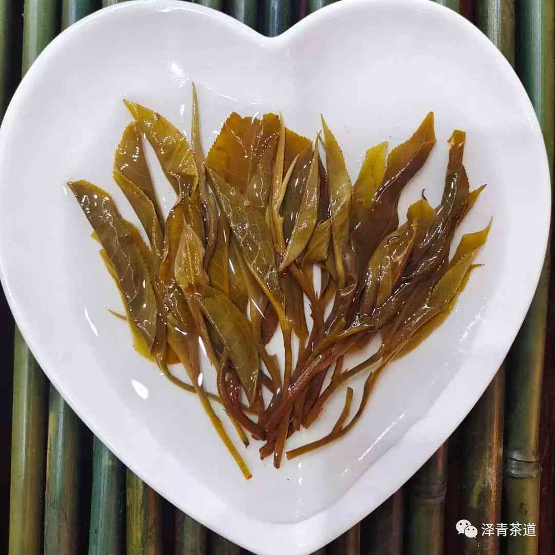 云南大叶种茶树：打造普洱茶的独特风味与属性