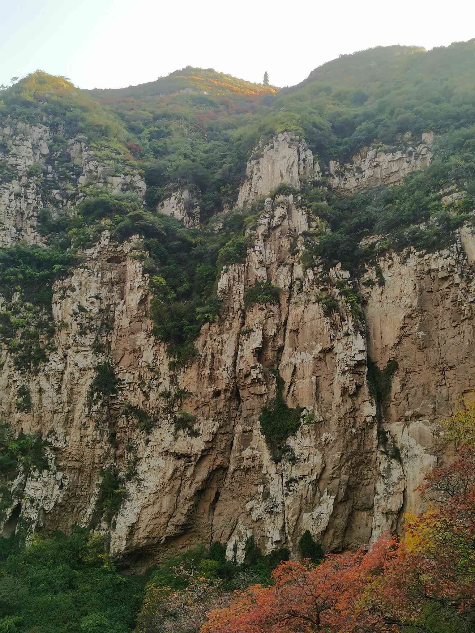万丈山崖：悬崖峭壁的深远含义与实例