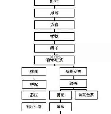 全面解析老茶头普洱茶的工艺流程：从采摘到制作的每一个环节