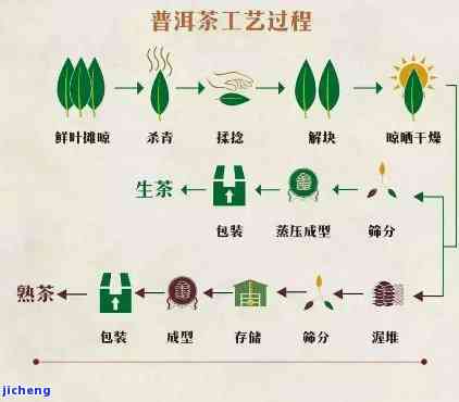 全面解析老茶头普洱茶的工艺流程：从采摘到制作的每一个环节