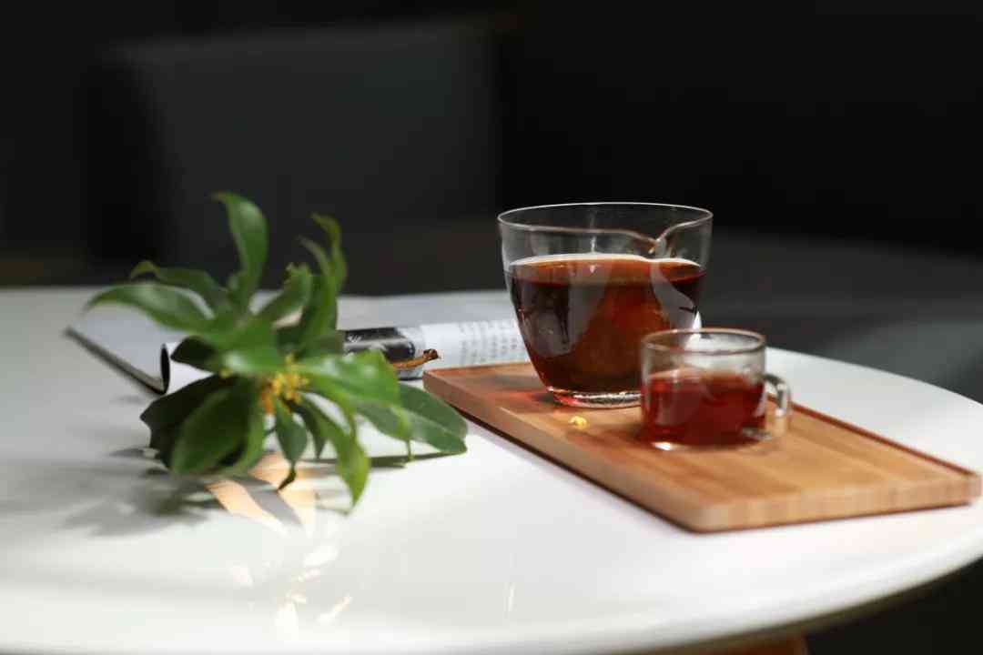 品鉴普洱茶的艺术：掌握正确的冲泡步骤，让每一杯都好喝