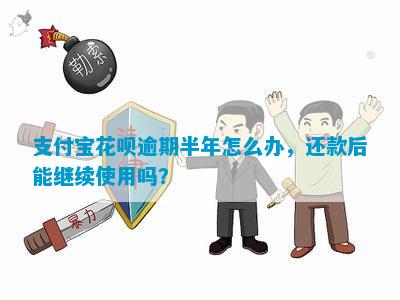 支付宝花呗逾期半年还款仅还一半，用户疑问如何解决？