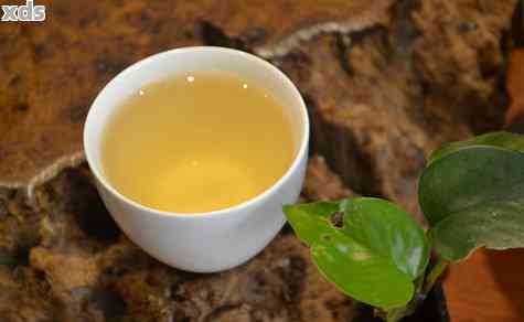 森林之味普洱茶：口感醇厚，价格适中，是一款值得尝试的好茶。