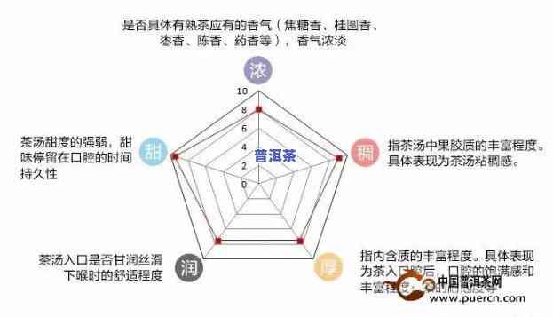 高端熟普洱茶的全面指南：品种、口感、品鉴与购买攻略