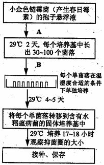 藕粉和田玉是否容易受到光照、温度和化学物质等因素的影响而发生变色？