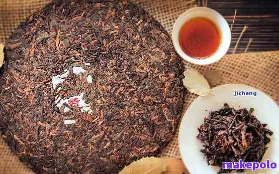 小雪的普洱茶：品种、产地、制作工艺及口感详解，一文带你了解普洱茶的全貌
