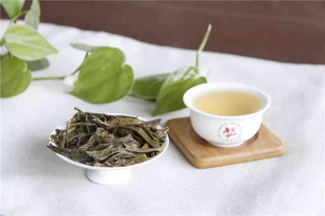 永德普洱茶价格大全：云南各区域及品种详细报价，助您轻松选购！