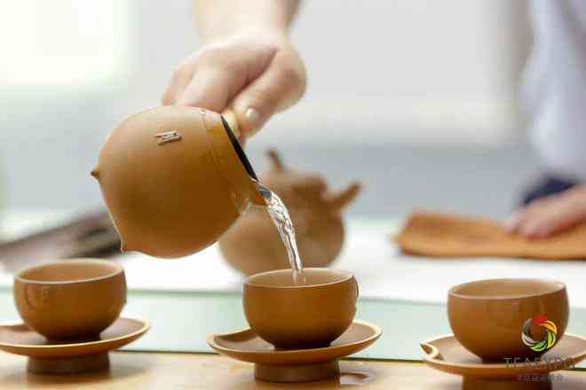 小雪的茶公司：品质茶叶、独特口味与越服务的完美结合