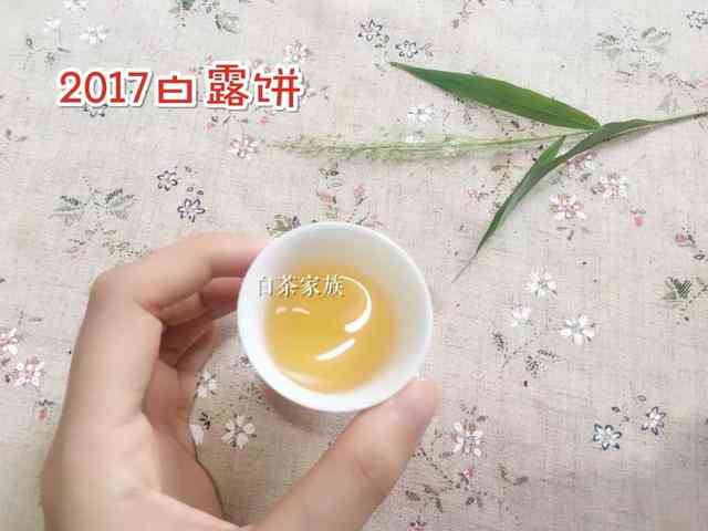 枣香普洱茶怎么冲泡的