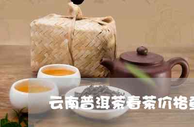 云南普洱茶春茶预售火热进行中，公斤售价惊喜不断，速来选购！