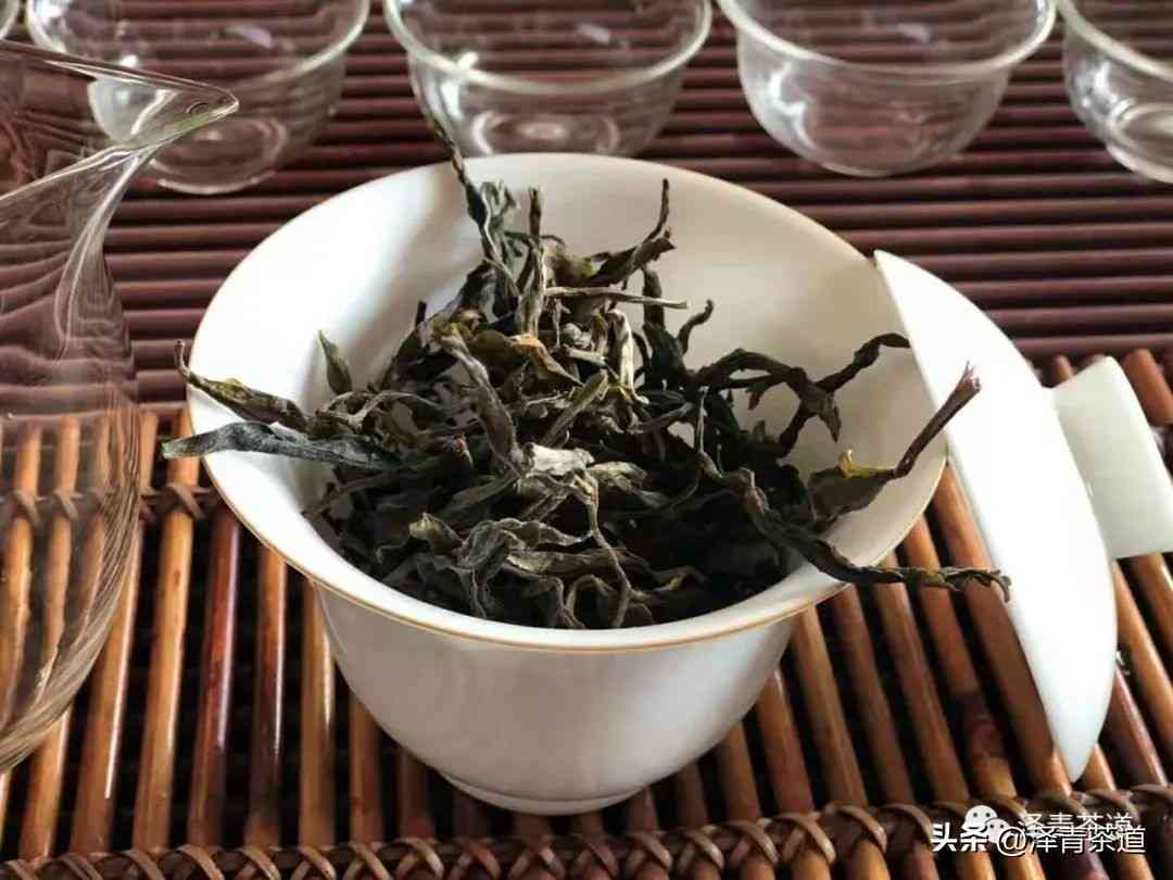 冰岛普洱茶什么香味喝：探究冰岛普洱茶的香气与味道